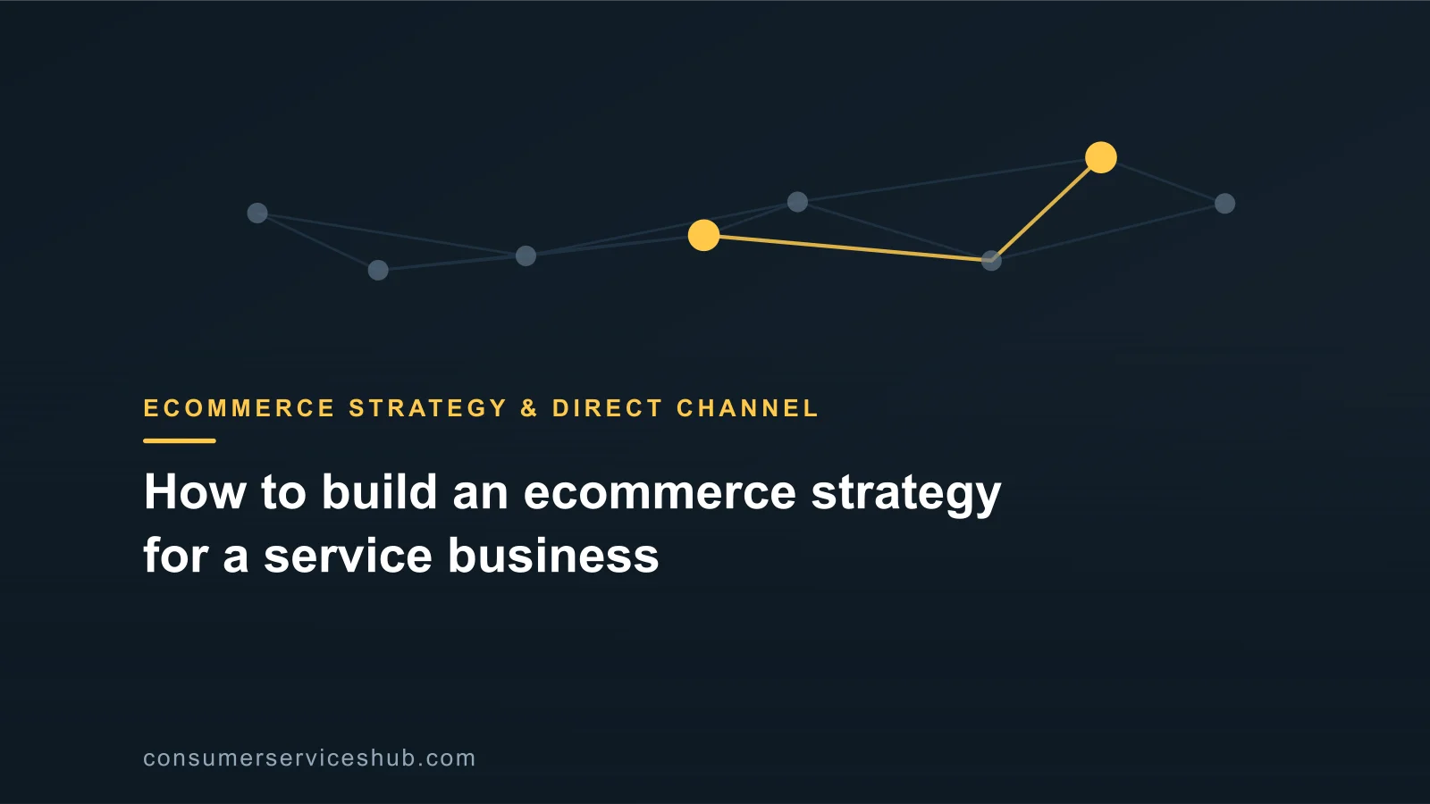 Cover: How to build an ecommerce strategy for a service business