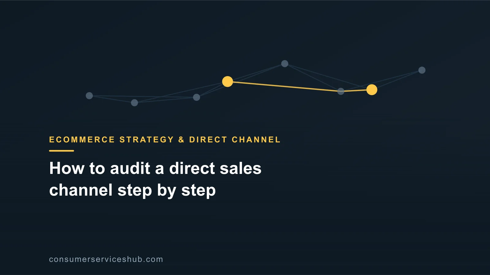 Cover: How to audit a direct sales channel step by step