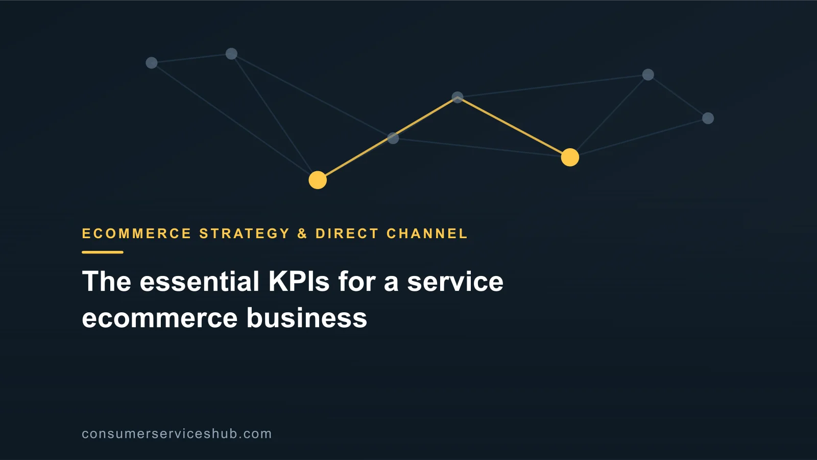 Cover: The essential KPIs for a service ecommerce business