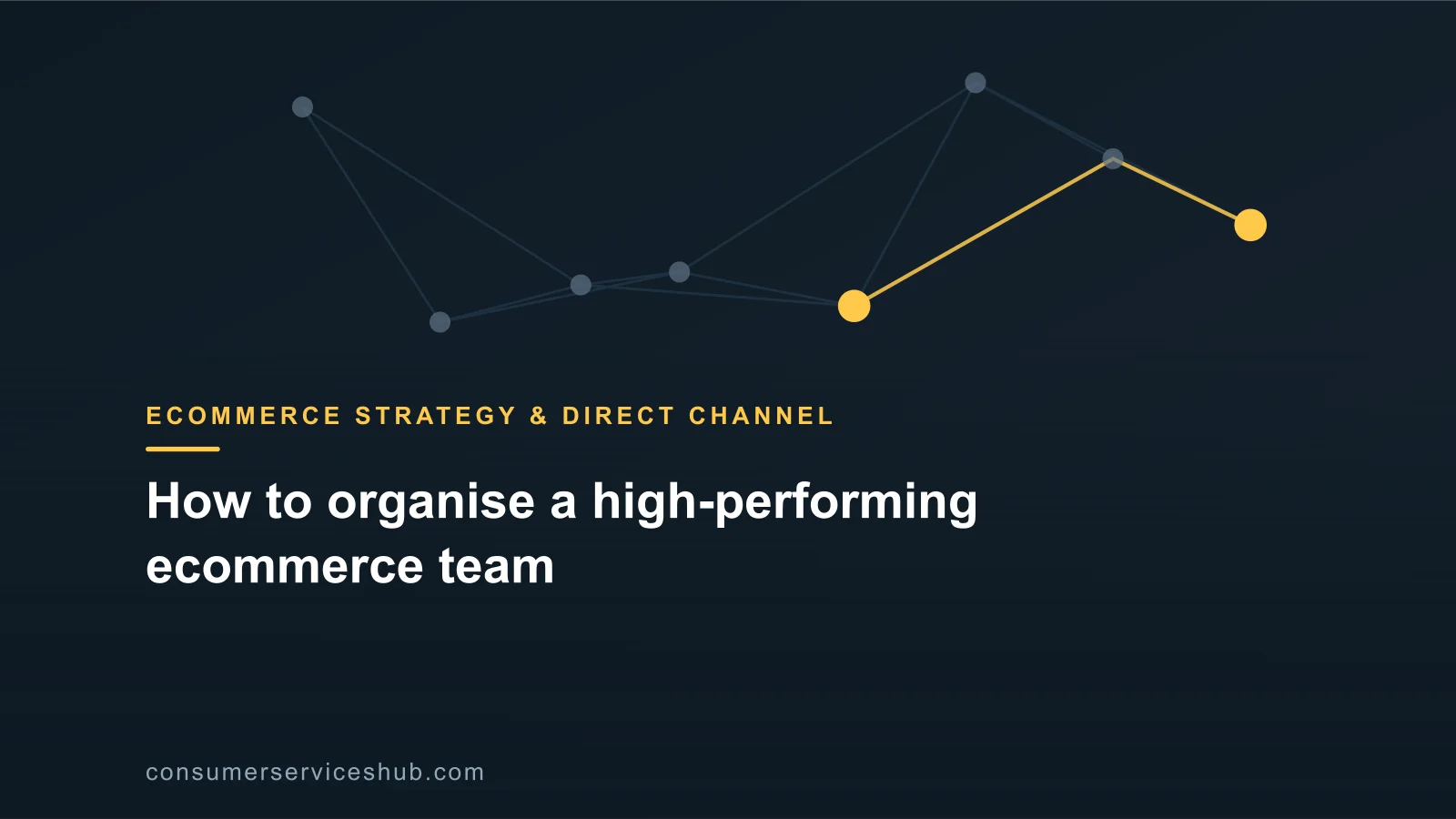 Cover: How to organise a high-performing ecommerce team