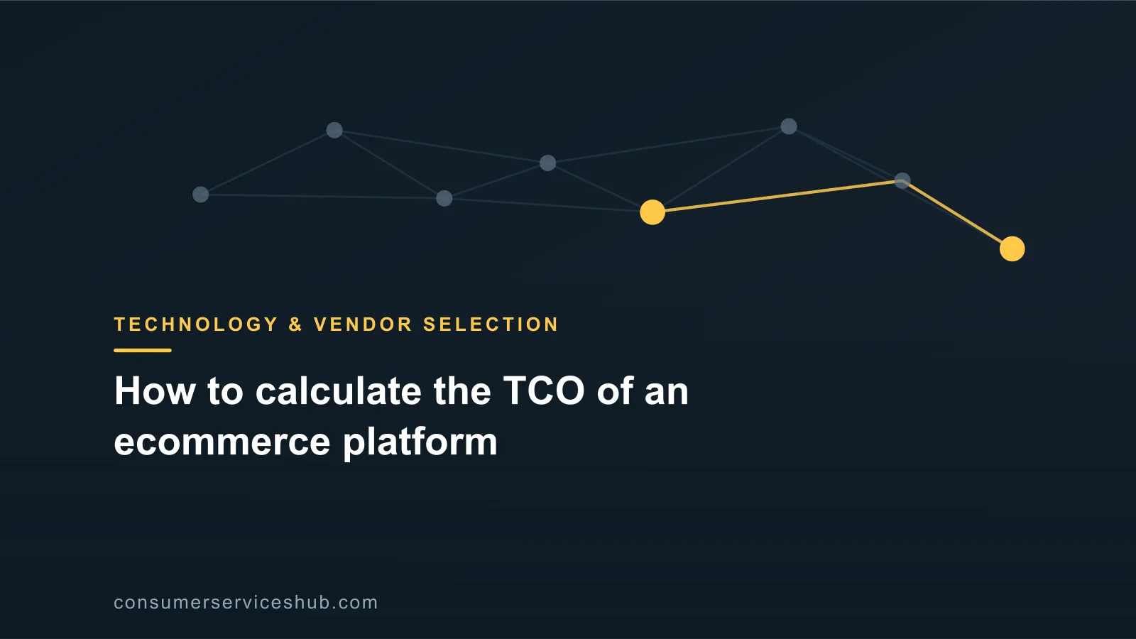 Cover: How to calculate the TCO of an ecommerce platform
