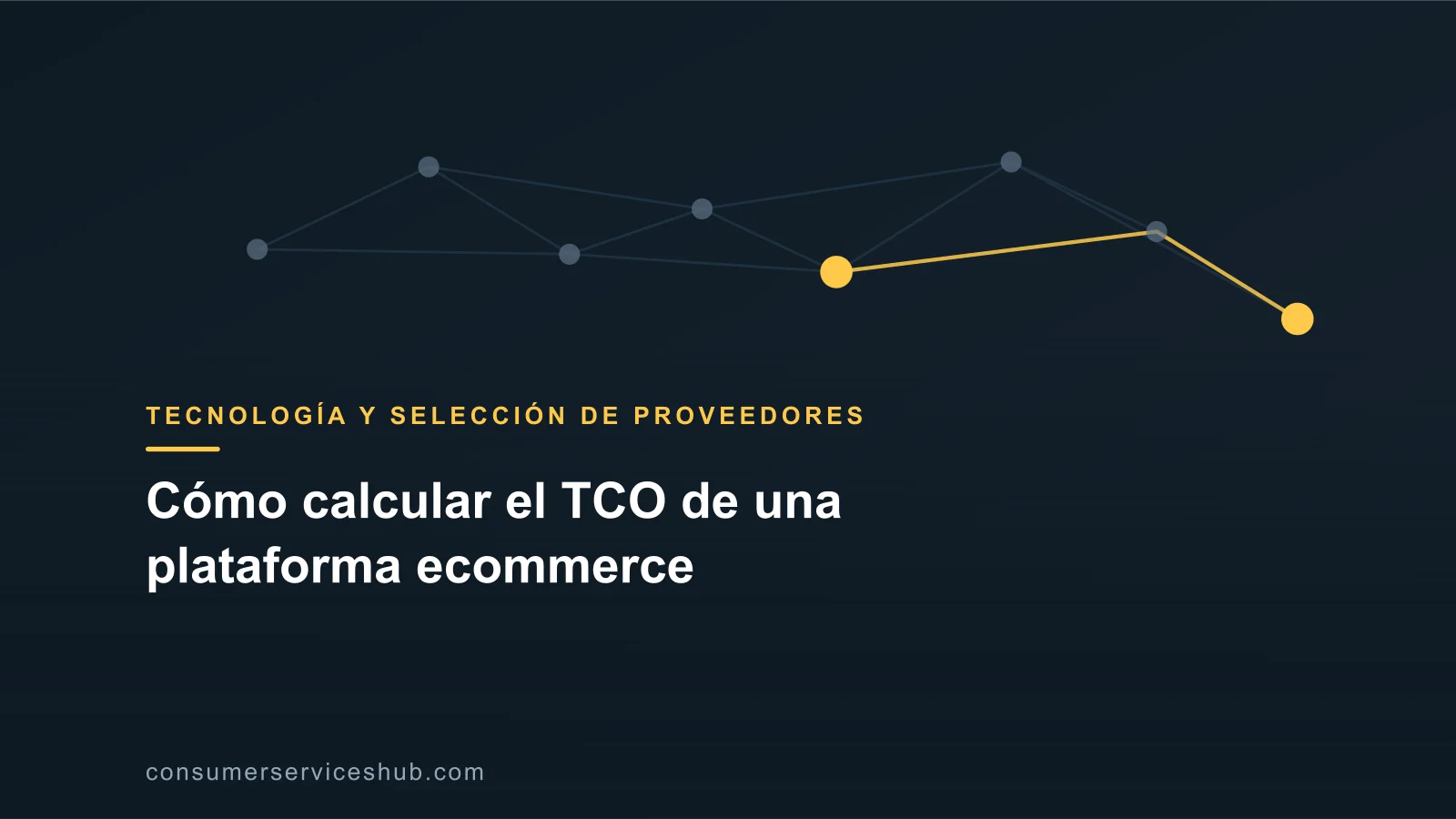 Portada: Cómo calcular el TCO de una plataforma ecommerce